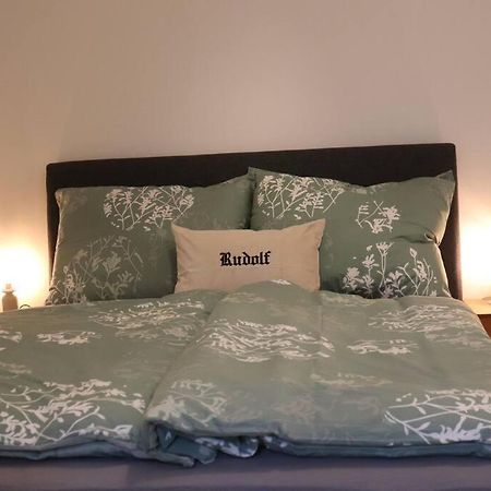 City Apartment Rudolf 26M2 Γκρατς Εξωτερικό φωτογραφία
