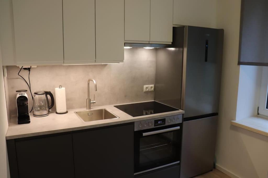 City Apartment Rudolf 26M2 Γκρατς Εξωτερικό φωτογραφία