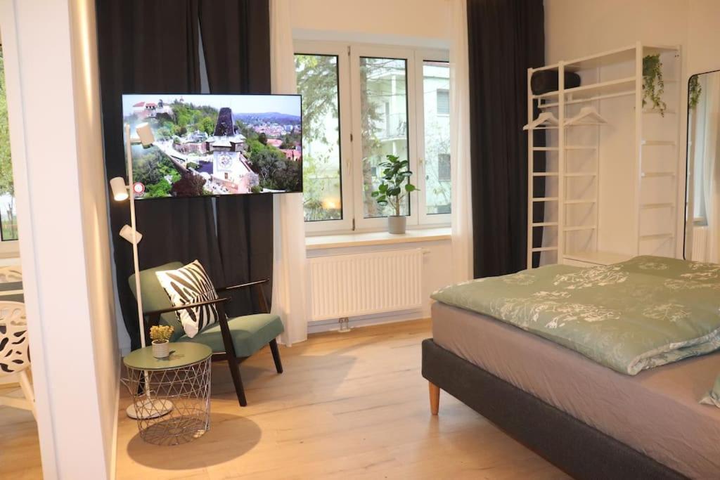 City Apartment Rudolf 26M2 Γκρατς Εξωτερικό φωτογραφία